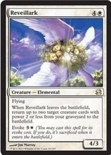 鸟云雀产品参考信息