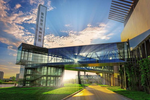 跟着村舞游东阿 一场沉浸式文化之旅