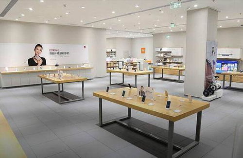 后浪奔涌 小米与蓝绿厂的下半场竞逐，谁能抢占未来高地？